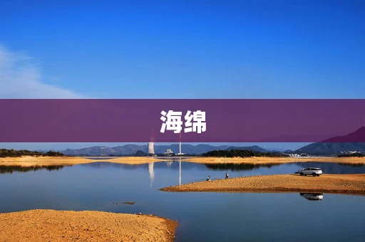 海绵