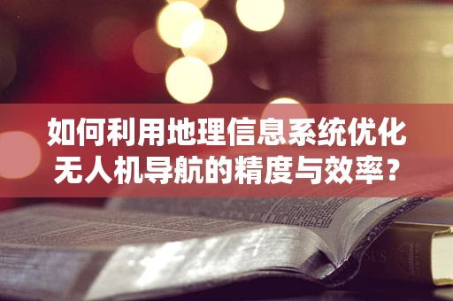 如何利用地理信息系统优化无人机导航的精度与效率？
