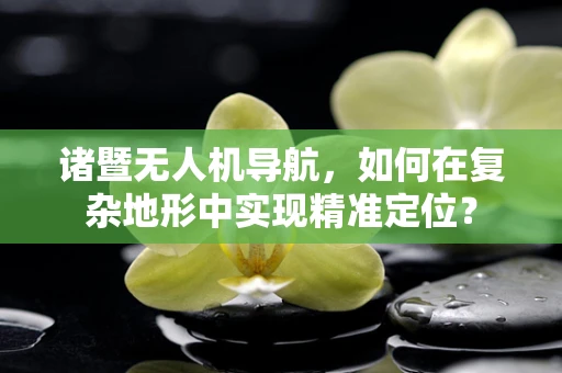 诸暨无人机导航，如何在复杂地形中实现精准定位？