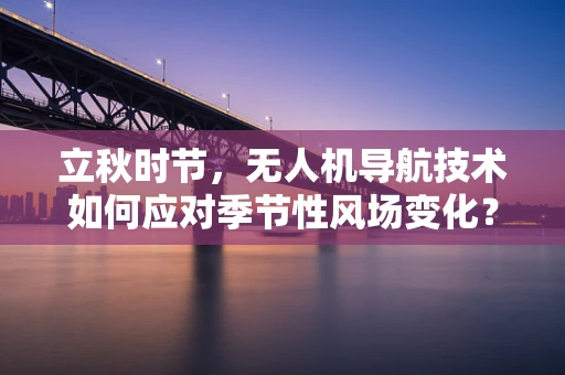 立秋时节，无人机导航技术如何应对季节性风场变化？