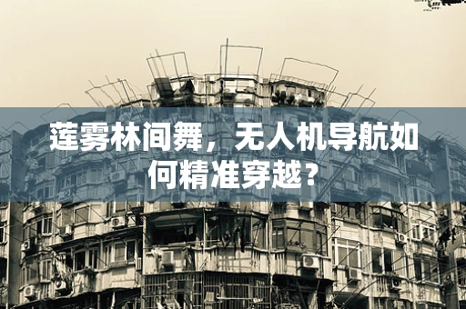 莲雾林间舞，无人机导航如何精准穿越？