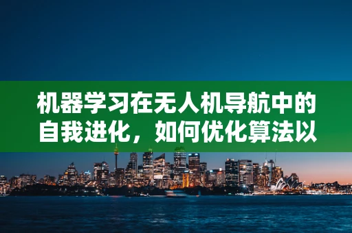 机器学习在无人机导航中的自我进化，如何优化算法以应对复杂环境？