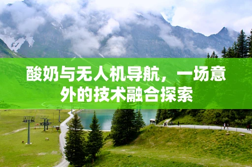 酸奶与无人机导航，一场意外的技术融合探索