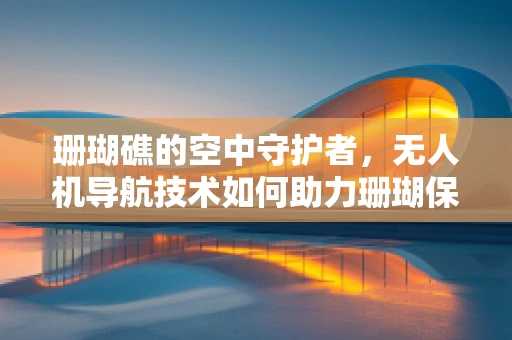 珊瑚礁的空中守护者，无人机导航技术如何助力珊瑚保护？