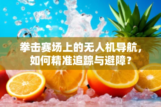 拳击赛场上的无人机导航，如何精准追踪与避障？
