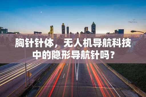 胸针针体，无人机导航科技中的隐形导航针吗？