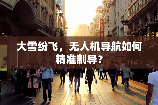 大雪纷飞，无人机导航如何精准制导？