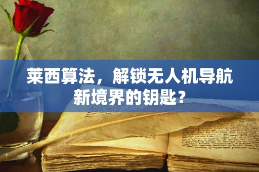 莱西算法，解锁无人机导航新境界的钥匙？
