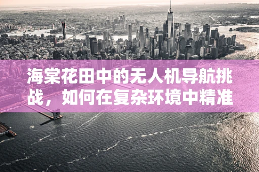 海棠花田中的无人机导航挑战，如何在复杂环境中精准定位？