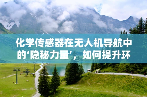 化学传感器在无人机导航中的‘隐秘力量’，如何提升环境适应性？
