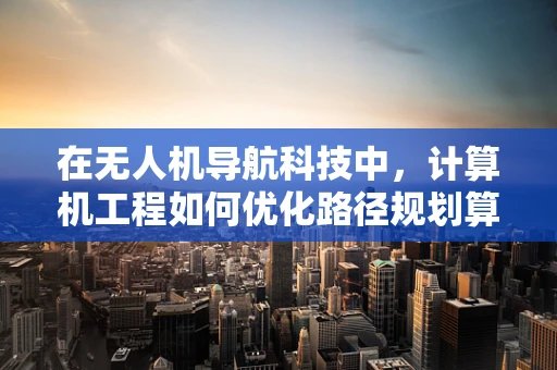 在无人机导航科技中，计算机工程如何优化路径规划算法的效率与准确性？