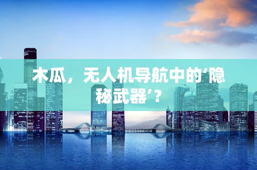 木瓜，无人机导航中的‘隐秘武器’？