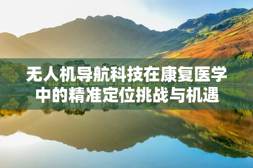 无人机导航科技在康复医学中的精准定位挑战与机遇