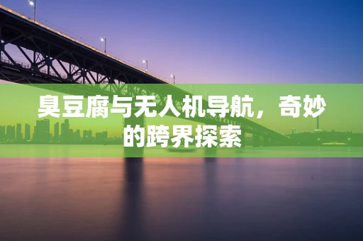 臭豆腐与无人机导航，奇妙的跨界探索