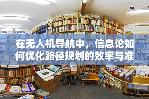 在无人机导航中，信息论如何优化路径规划的效率与准确性？