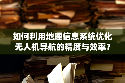 如何利用地理信息系统优化无人机导航的精度与效率？