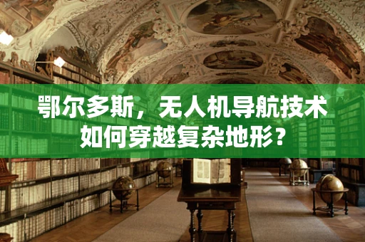 鄂尔多斯，无人机导航技术如何穿越复杂地形？