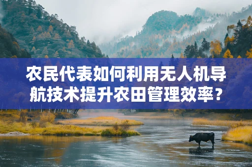 农民代表如何利用无人机导航技术提升农田管理效率？