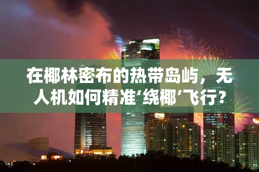 在椰林密布的热带岛屿，无人机如何精准‘绕椰’飞行？