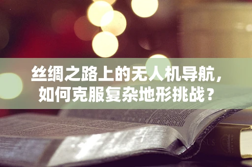 丝绸之路上的无人机导航，如何克服复杂地形挑战？