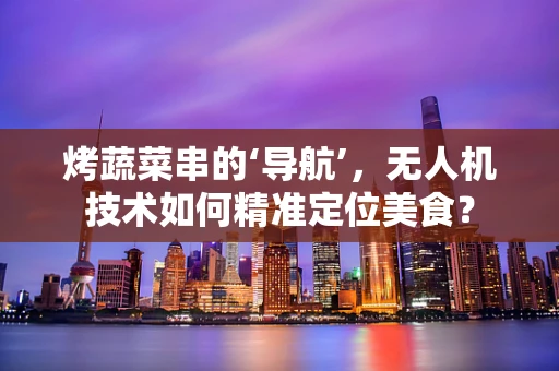 烤蔬菜串的‘导航’，无人机技术如何精准定位美食？