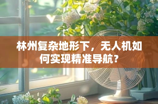 林州复杂地形下，无人机如何实现精准导航？