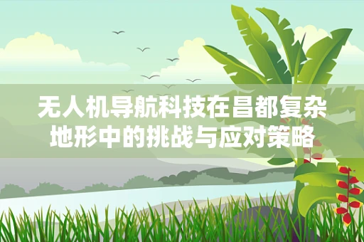 无人机导航科技在昌都复杂地形中的挑战与应对策略