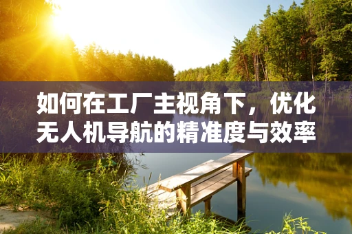 如何在工厂主视角下，优化无人机导航的精准度与效率？