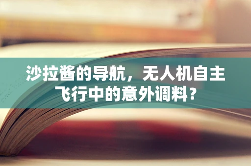 沙拉酱的导航，无人机自主飞行中的意外调料？