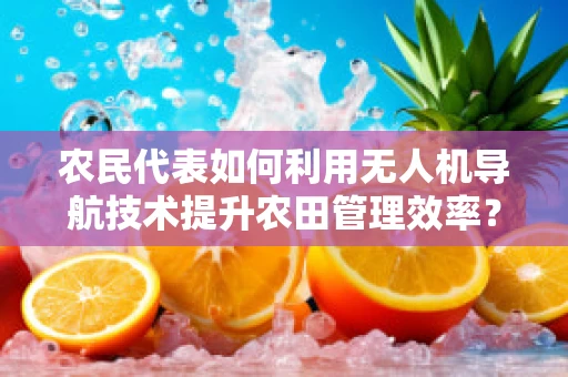 农民代表如何利用无人机导航技术提升农田管理效率？
