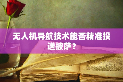 无人机导航技术能否精准投送披萨？