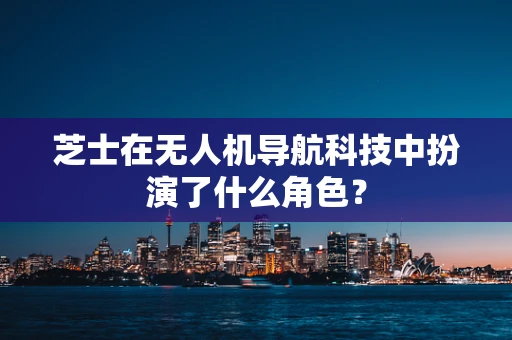 芝士在无人机导航科技中扮演了什么角色？