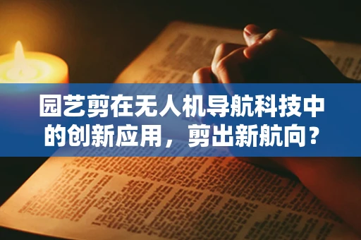 园艺剪在无人机导航科技中的创新应用，剪出新航向？
