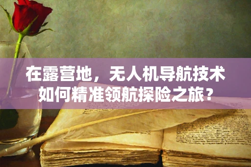 在露营地，无人机导航技术如何精准领航探险之旅？