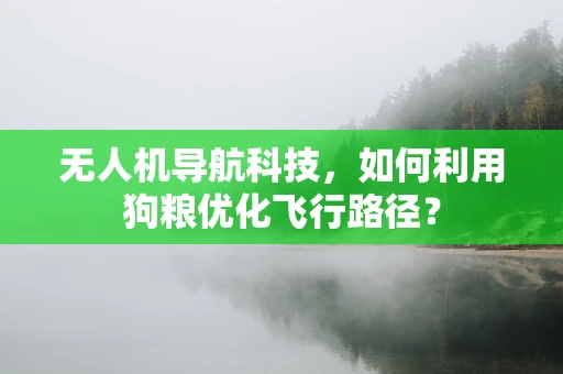 无人机导航科技，如何利用狗粮优化飞行路径？