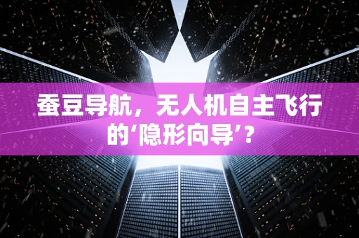 蚕豆导航，无人机自主飞行的‘隐形向导’？