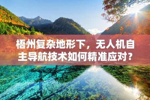 梧州复杂地形下，无人机自主导航技术如何精准应对？