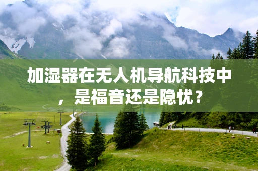 加湿器在无人机导航科技中，是福音还是隐忧？