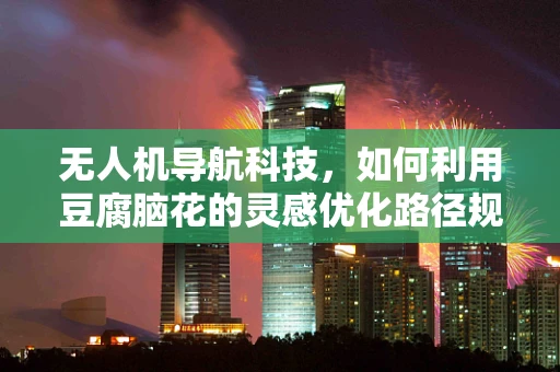 无人机导航科技，如何利用豆腐脑花的灵感优化路径规划？
