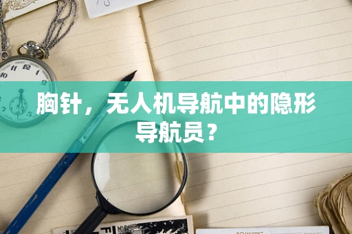 胸针，无人机导航中的隐形导航员？