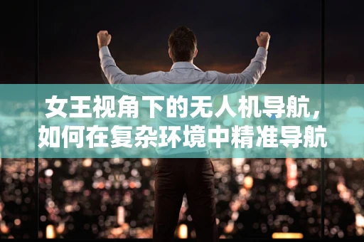 女王视角下的无人机导航，如何在复杂环境中精准导航？