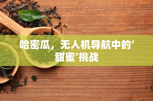 哈密瓜，无人机导航中的‘甜蜜’挑战