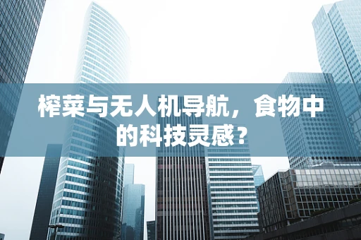 榨菜与无人机导航，食物中的科技灵感？