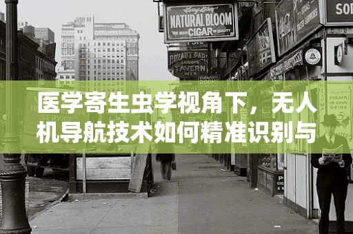 医学寄生虫学视角下，无人机导航技术如何精准识别与追踪？