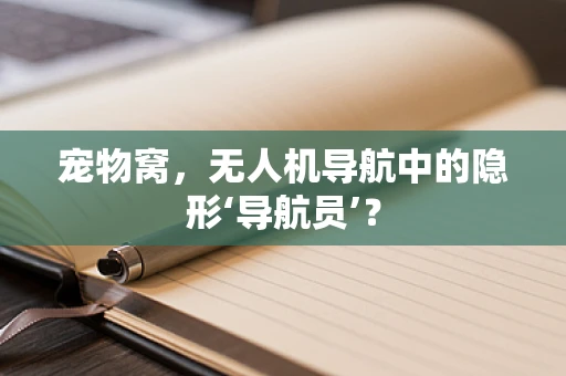 宠物窝，无人机导航中的隐形‘导航员’？
