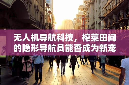 无人机导航科技，榨菜田间的隐形导航员能否成为新宠？