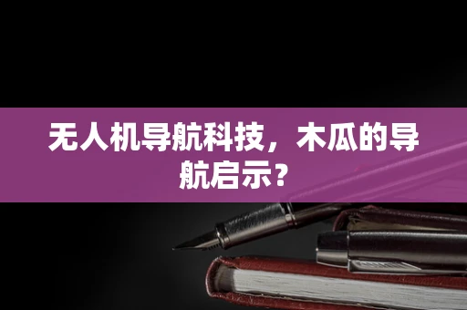 无人机导航科技，木瓜的导航启示？