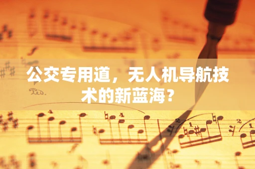 公交专用道，无人机导航技术的新蓝海？