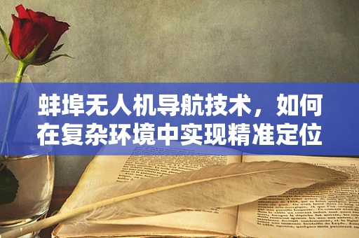 蚌埠无人机导航技术，如何在复杂环境中实现精准定位？