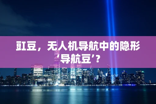 豇豆，无人机导航中的隐形‘导航豆’？
